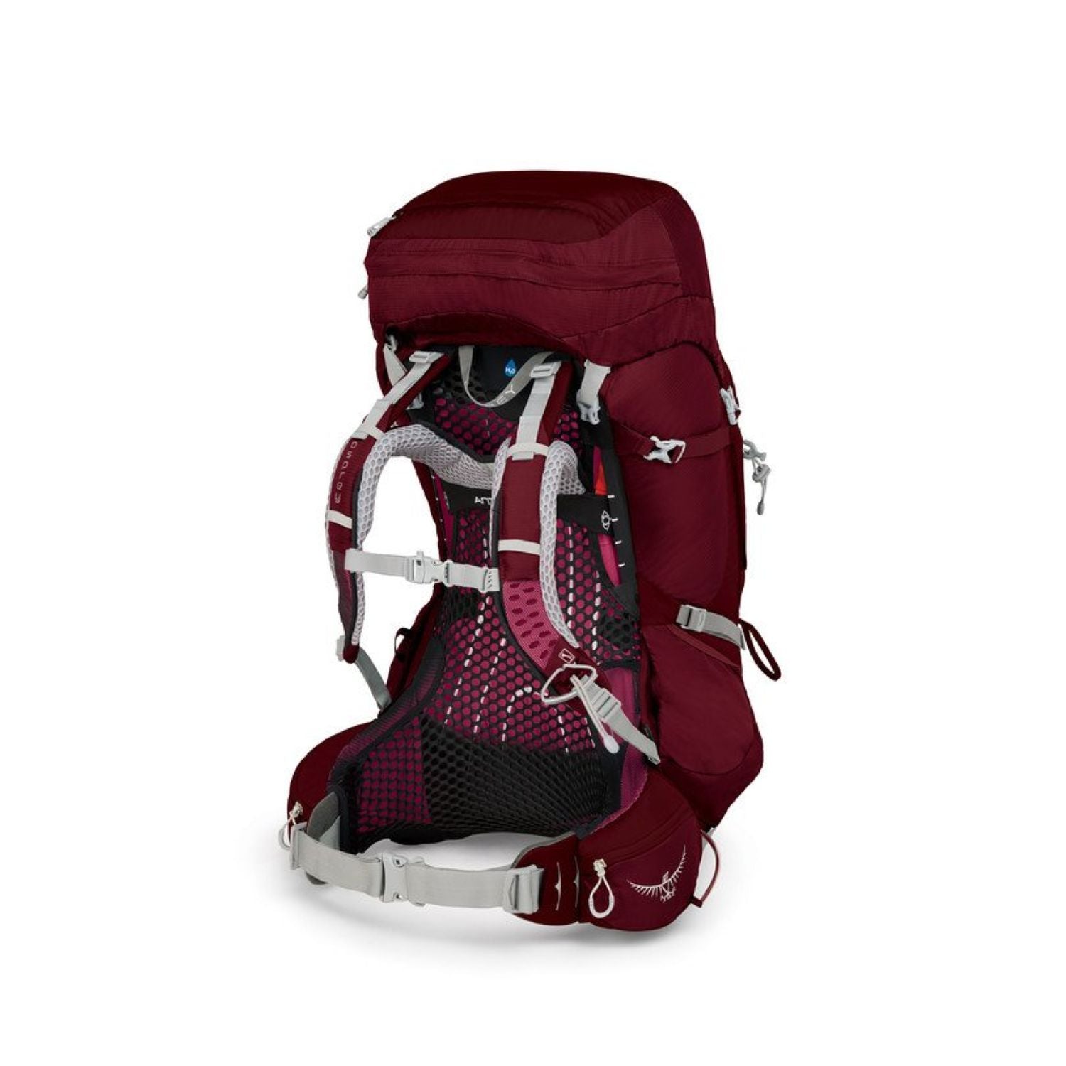 Osprey Aura AG 65 Backpack with Raincover - Small - Women's Backpacking | Backpacking Packs, Bags, Bags for Women, Osprey, SGTrek, SGTrek Osprey, Travel Backpacks | Osprey-4