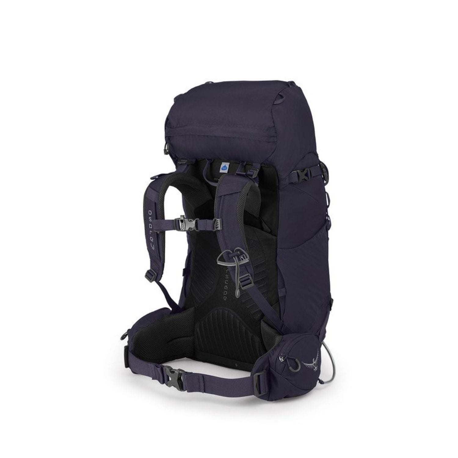 Osprey Kyte 36 Backpack - Small/Medium - Women's Backpacking - Day Hiking | Bags, Bags for Women, Hiking Backpacks, Osprey, SGTrek, SGTrek Osprey, Travel Backpacks | Osprey-2