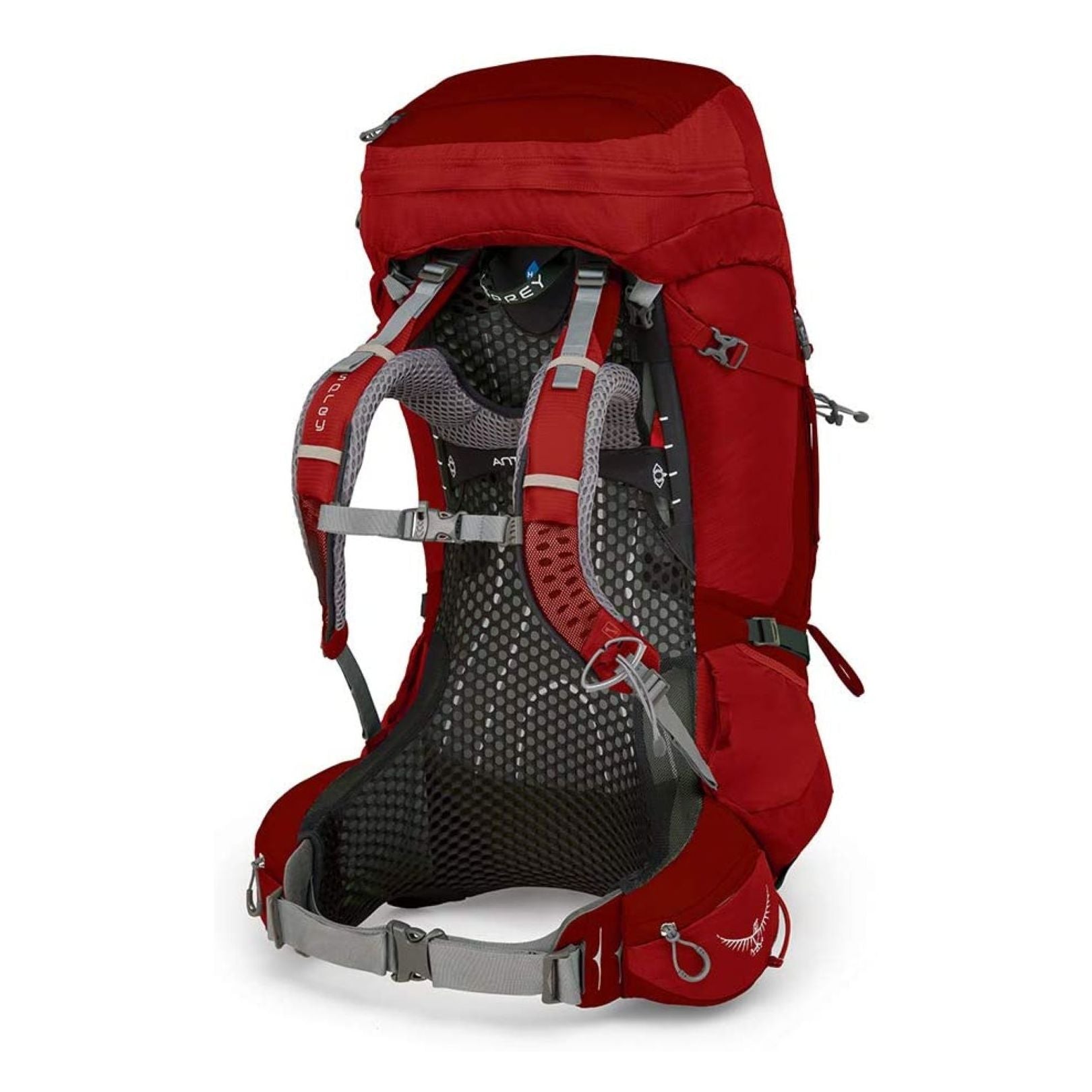 Osprey Atmos AG 65 Backpack - Large - Men's Backpacking | Backpacking Packs, Bags, Osprey | Osprey-8