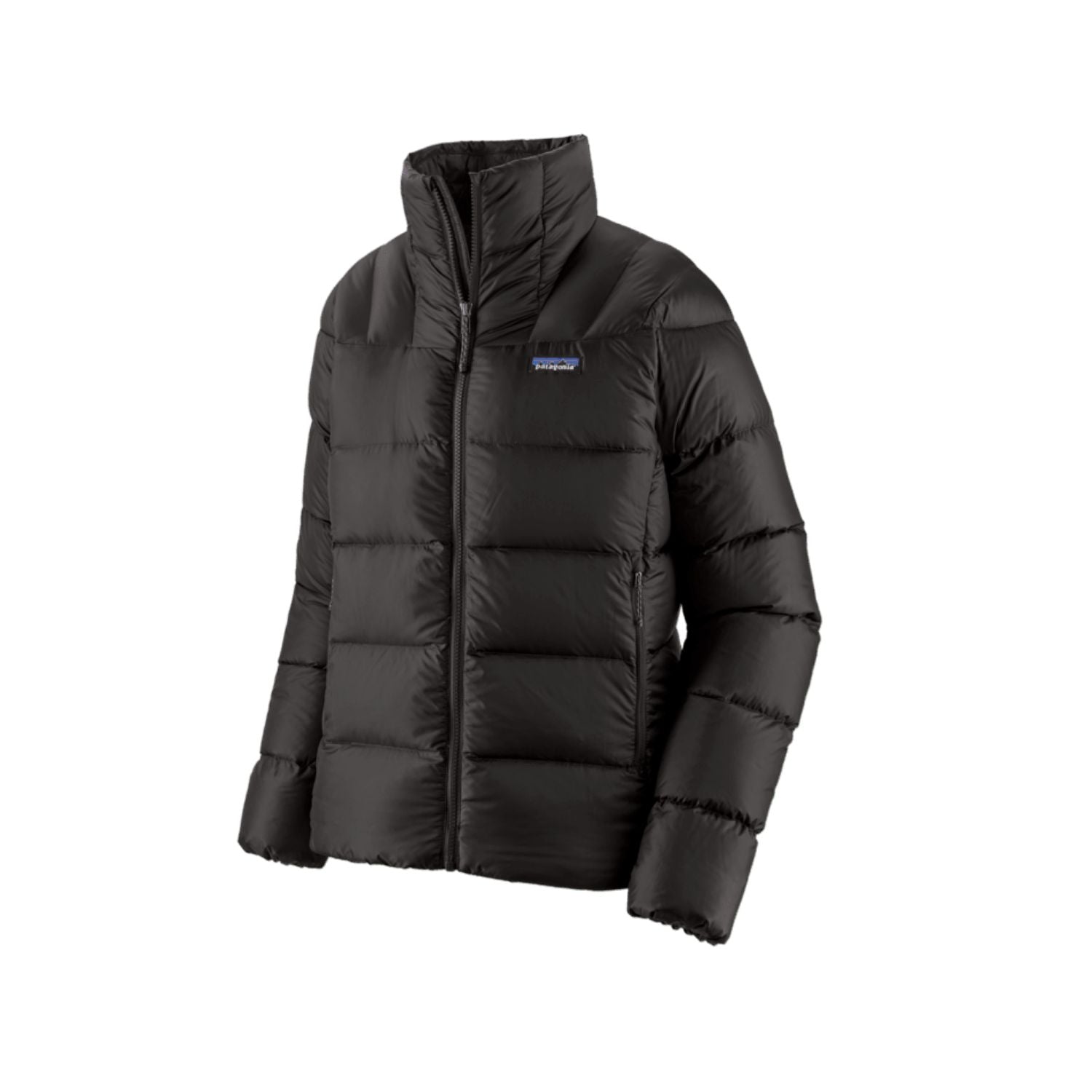 Patagonia Women's Fitz Roy Down Jacket (Black)