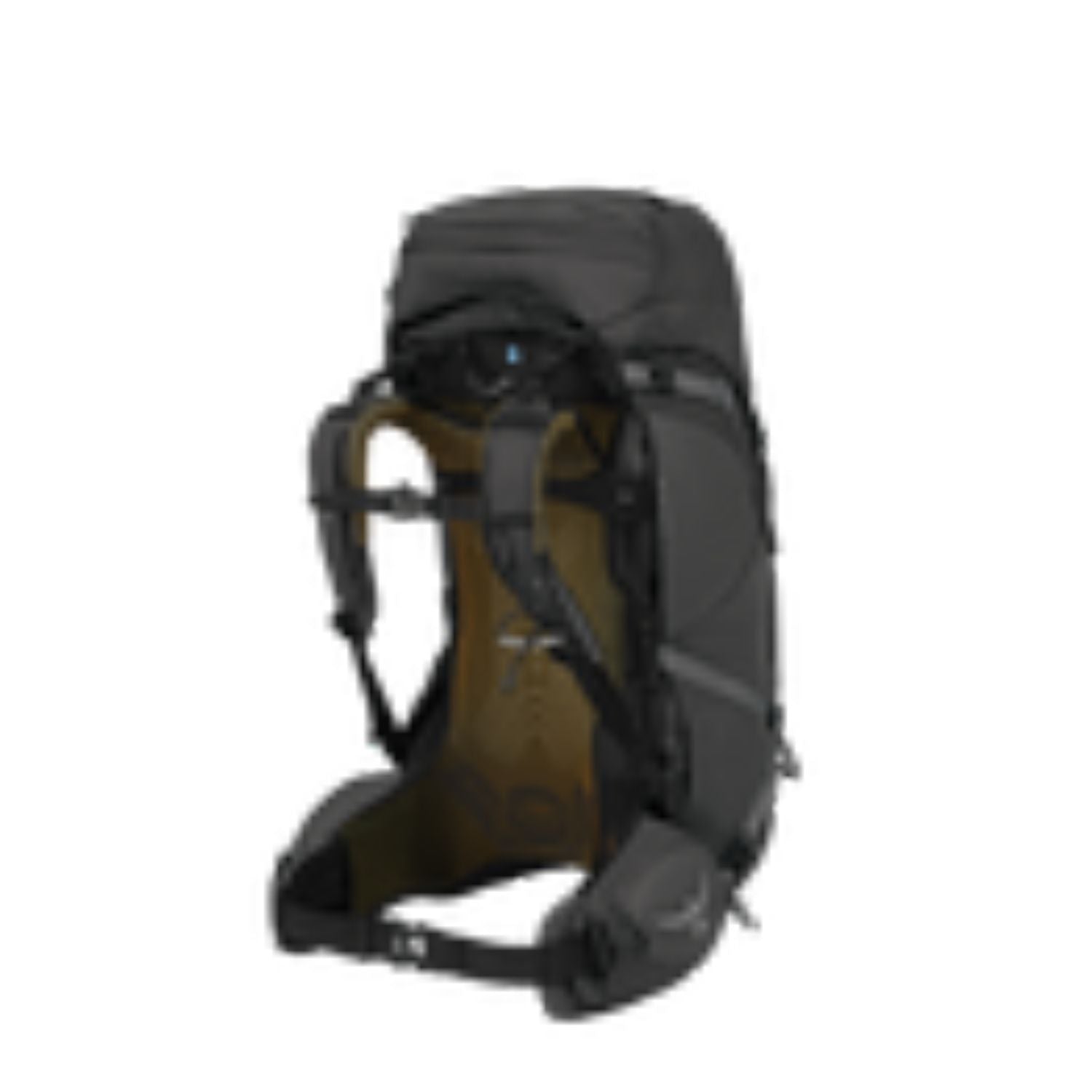 Osprey Atmos AG 50 Backpack L/XL | Backpacking Packs, Bags, Osprey, school20 | Osprey-3