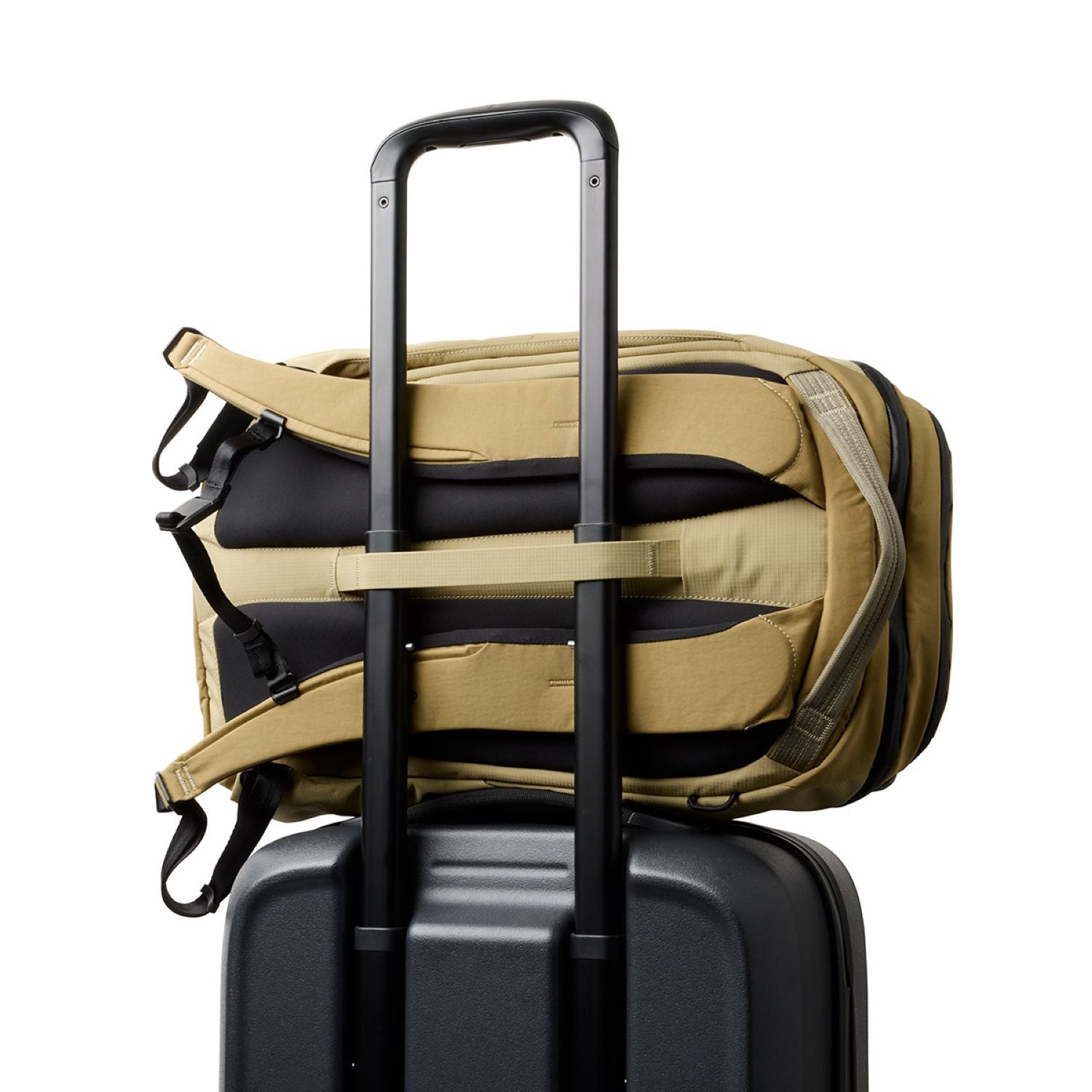 Bellroy Venture Ready Pack 20L (SA)