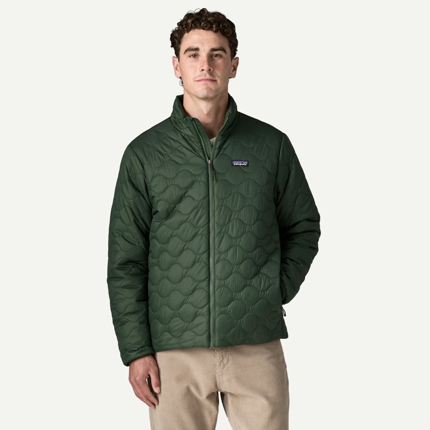 Patagonia Men's Heyes Peak Jacket (Treeline Green)
