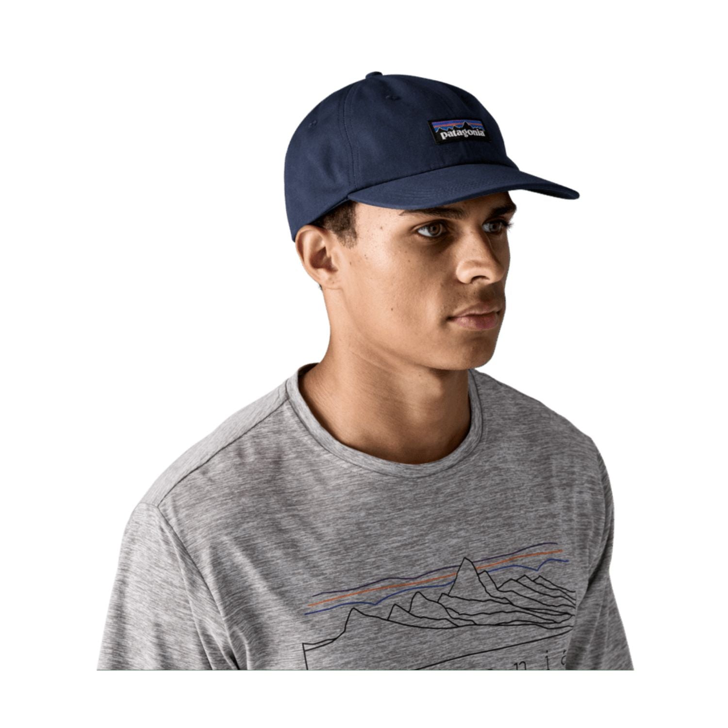 Patagonia P-6 Label Trad Cap