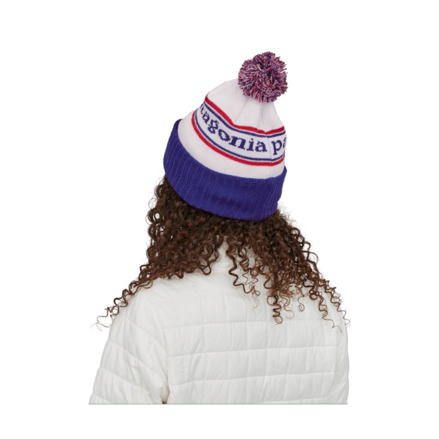 Patagonia Powder Town Beanie